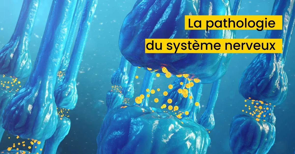 La pathologie du système nerveux